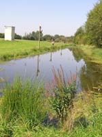 Blick auf das Pfarrer Stählin Biotop Blick auf das Pfarrer Stählin Biotop