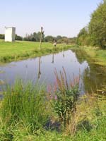 Blick auf das Pfarrer Sthlin Biotop