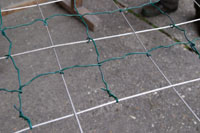 Halbierung der Maschenweite auf 10 x 10 cm Halbierung der Maschenweite auf 10 x 10 cm